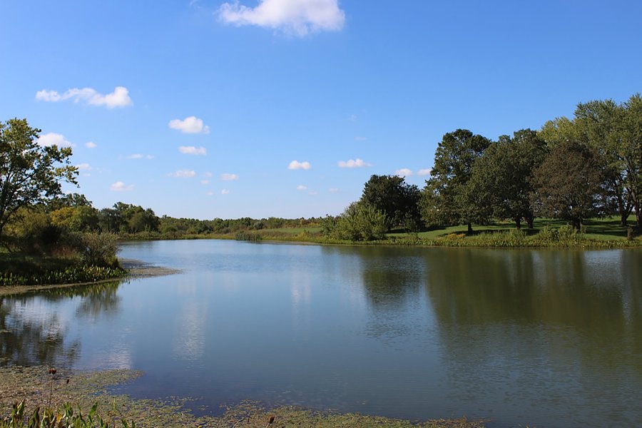 For sale: Tillable, Pasture, Recreational, Hunting and Fishing Property   - Gas City, IN